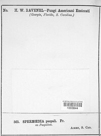 Image Associated With the Occurence